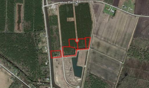Photo of SOLD!  2 Acre Residential Lot for Sale in Hyde County NC!