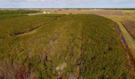 Photo of SOLD!  2 Acre Residential Lot for Sale in Hyde County NC!