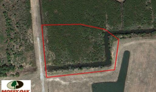 Photo of SOLD!  2 Acre Residential Lot for Sale in Hyde County NC!