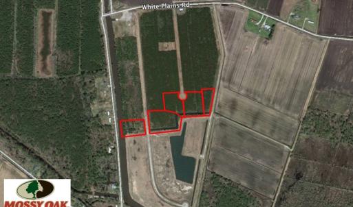 Photo of SOLD!  1.17 Acres of Residential Waterfront Lot for Sale in Hyde County NC!