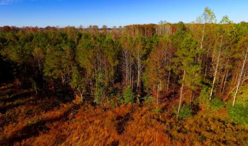 Photo of UNDER CONTRACT!  23 Acres Hunting and Residential Land For Sale in Beaufort County NC!