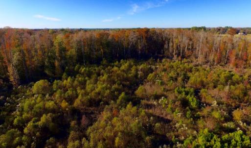 Photo of UNDER CONTRACT!  23 Acres Hunting and Residential Land For Sale in Beaufort County NC!