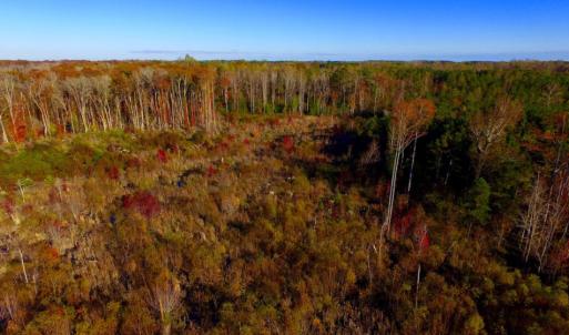 Photo of UNDER CONTRACT!  23 Acres Hunting and Residential Land For Sale in Beaufort County NC!