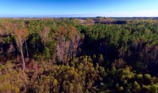 Photo of UNDER CONTRACT!  23 Acres Hunting and Residential Land For Sale in Beaufort County NC!