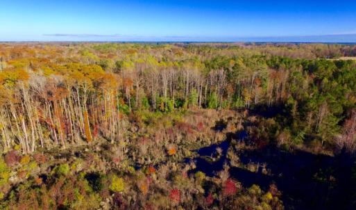 Photo of UNDER CONTRACT!  23 Acres Hunting and Residential Land For Sale in Beaufort County NC!