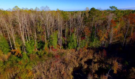Photo of UNDER CONTRACT!  23 Acres Hunting and Residential Land For Sale in Beaufort County NC!