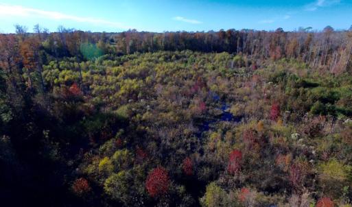 Photo of UNDER CONTRACT!  23 Acres Hunting and Residential Land For Sale in Beaufort County NC!