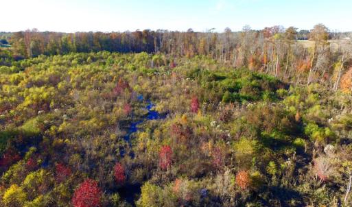 Photo of UNDER CONTRACT!  23 Acres Hunting and Residential Land For Sale in Beaufort County NC!