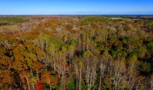 Photo of UNDER CONTRACT!  23 Acres Hunting and Residential Land For Sale in Beaufort County NC!