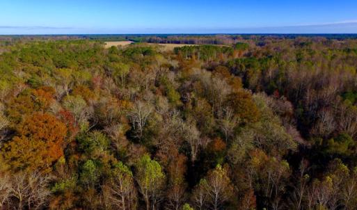 Photo of UNDER CONTRACT!  23 Acres Hunting and Residential Land For Sale in Beaufort County NC!