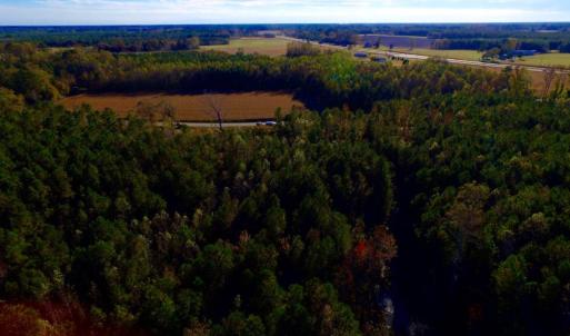 Photo of UNDER CONTRACT!  23 Acres Hunting and Residential Land For Sale in Beaufort County NC!