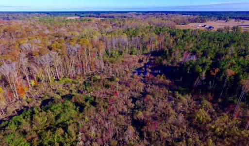 Photo of UNDER CONTRACT!  23 Acres Hunting and Residential Land For Sale in Beaufort County NC!