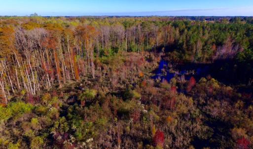 Photo of UNDER CONTRACT!  23 Acres Hunting and Residential Land For Sale in Beaufort County NC!
