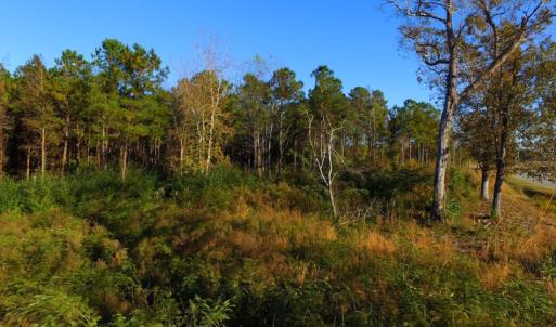 Photo of UNDER CONTRACT!  23 Acres Hunting and Residential Land For Sale in Beaufort County NC!