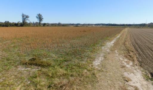 Photo of UNDER CONTRACT!  11.75 Acres of Recreational and Farm Land For Sale in Wilson County NC!