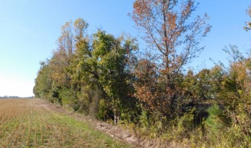 Photo of UNDER CONTRACT!  11.75 Acres of Recreational and Farm Land For Sale in Wilson County NC!