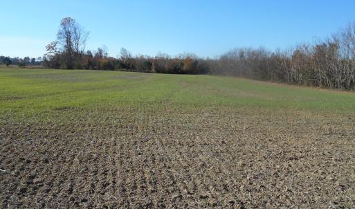 Photo of SOLD!  23.75 Acres of Residential Farm Land For Sale in Westmoreland County VA!