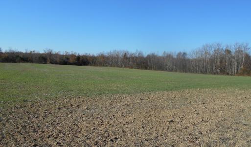 Photo of SOLD!  23.75 Acres of Residential Farm Land For Sale in Westmoreland County VA!