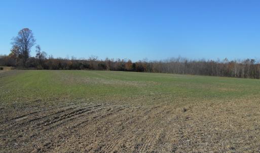 Photo of SOLD!  23.75 Acres of Residential Farm Land For Sale in Westmoreland County VA!