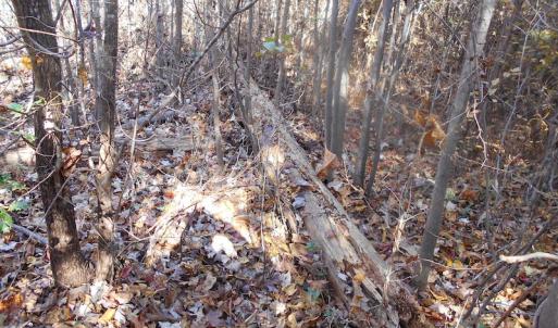 Photo of SOLD!  23.75 Acres of Residential Farm Land For Sale in Westmoreland County VA!