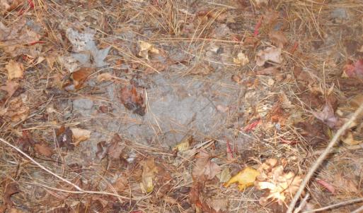 Photo of SOLD!  23.75 Acres of Residential Farm Land For Sale in Westmoreland County VA!