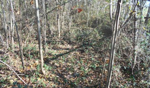 Photo of SOLD!  23.75 Acres of Residential Farm Land For Sale in Westmoreland County VA!