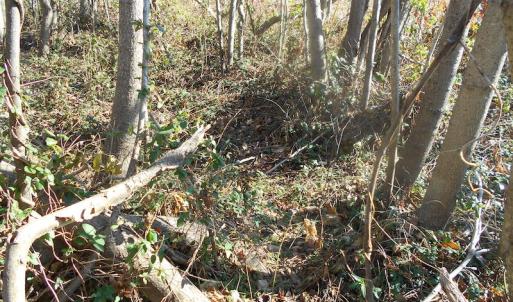 Photo of SOLD!  23.75 Acres of Residential Farm Land For Sale in Westmoreland County VA!