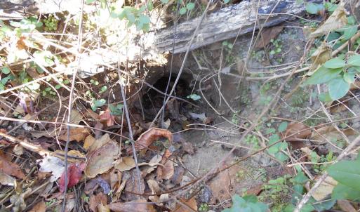 Photo of SOLD!  23.75 Acres of Residential Farm Land For Sale in Westmoreland County VA!
