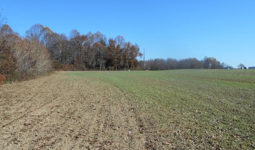 Photo of SOLD!  23.75 Acres of Residential Farm Land For Sale in Westmoreland County VA!