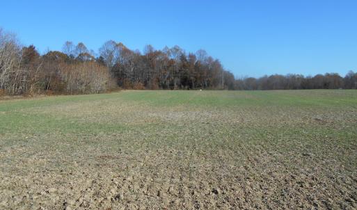 Photo of SOLD!  23.75 Acres of Residential Farm Land For Sale in Westmoreland County VA!