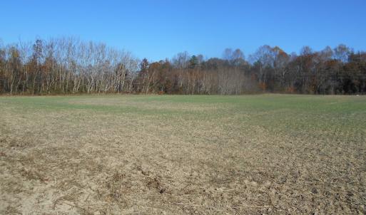 Photo of SOLD!  23.75 Acres of Residential Farm Land For Sale in Westmoreland County VA!