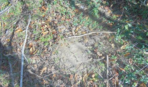 Photo of SOLD!  23.75 Acres of Residential Farm Land For Sale in Westmoreland County VA!