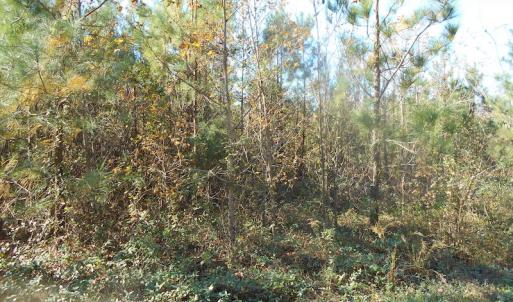 Photo of SOLD!  23.75 Acres of Residential Farm Land For Sale in Westmoreland County VA!