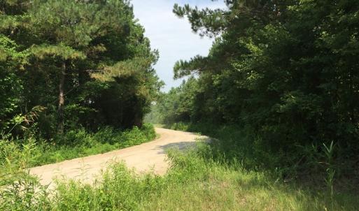 Photo of SOLD!  26 Acres of Timber Land For Sale in Jones County NC!