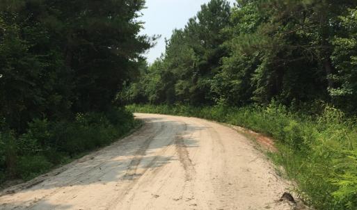 Photo of SOLD!  26 Acres of Timber Land For Sale in Jones County NC!