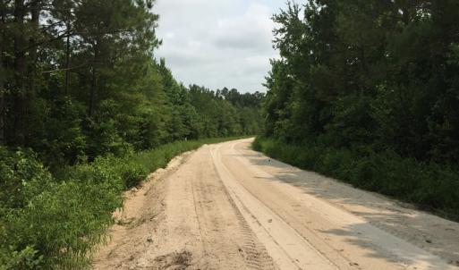Photo of SOLD!  26 Acres of Timber Land For Sale in Jones County NC!