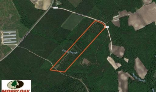 Photo of SOLD!  26 Acres of Timber Land For Sale in Jones County NC!