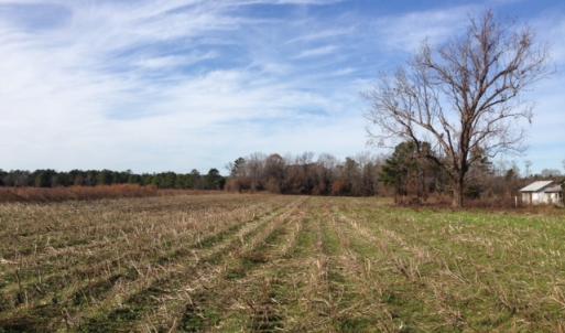Photo of SOLD!  31 acres of Farm and Timber Land in Chowan County NC!