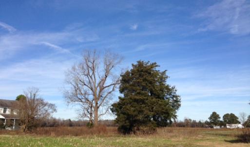 Photo of SOLD!  31 acres of Farm and Timber Land in Chowan County NC!