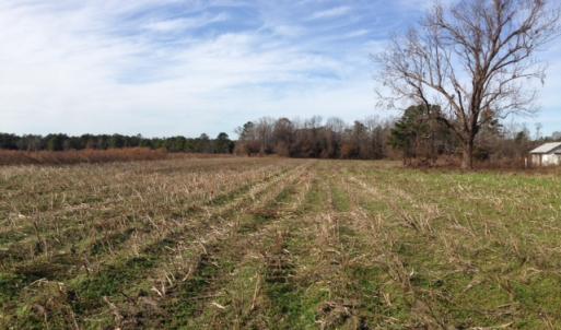 Photo of SOLD!  31 acres of Farm and Timber Land in Chowan County NC!