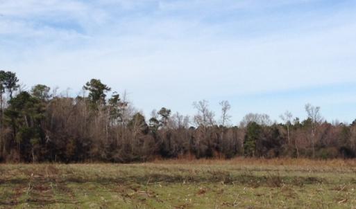 Photo of SOLD!  31 acres of Farm and Timber Land in Chowan County NC!