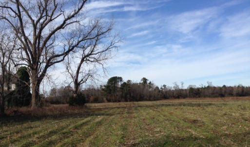 Photo of SOLD!  31 acres of Farm and Timber Land in Chowan County NC!