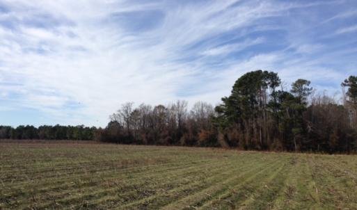 Photo of SOLD!  31 acres of Farm and Timber Land in Chowan County NC!