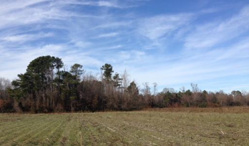 Photo of SOLD!  31 acres of Farm and Timber Land in Chowan County NC!