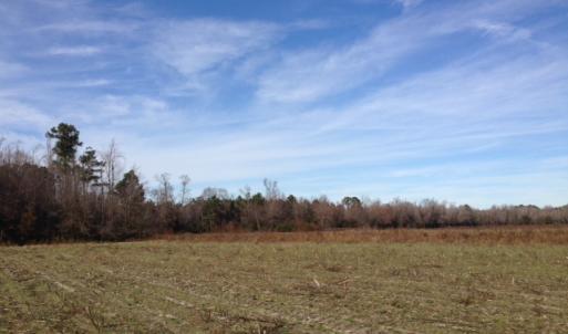 Photo of SOLD!  31 acres of Farm and Timber Land in Chowan County NC!