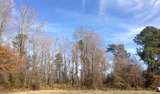 Photo of SOLD!  31 acres of Farm and Timber Land in Chowan County NC!