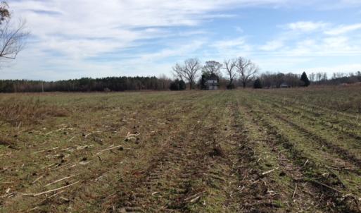 Photo of SOLD!  31 acres of Farm and Timber Land in Chowan County NC!
