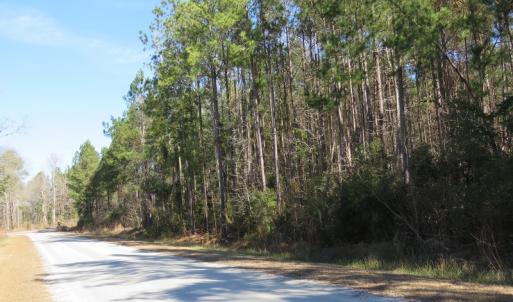 Photo of UNDER CONTRACT!  12 Acres of Timber and Residential Land For Sale in Bladen County NC!
