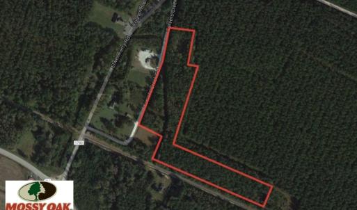 Photo of UNDER CONTRACT!  12 Acres of Timber and Residential Land For Sale in Bladen County NC!