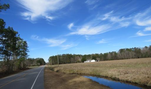 Photo of UNDER CONTRACT!  193 Acres of Farm and Timber Land For Sale in Columbus County NC!